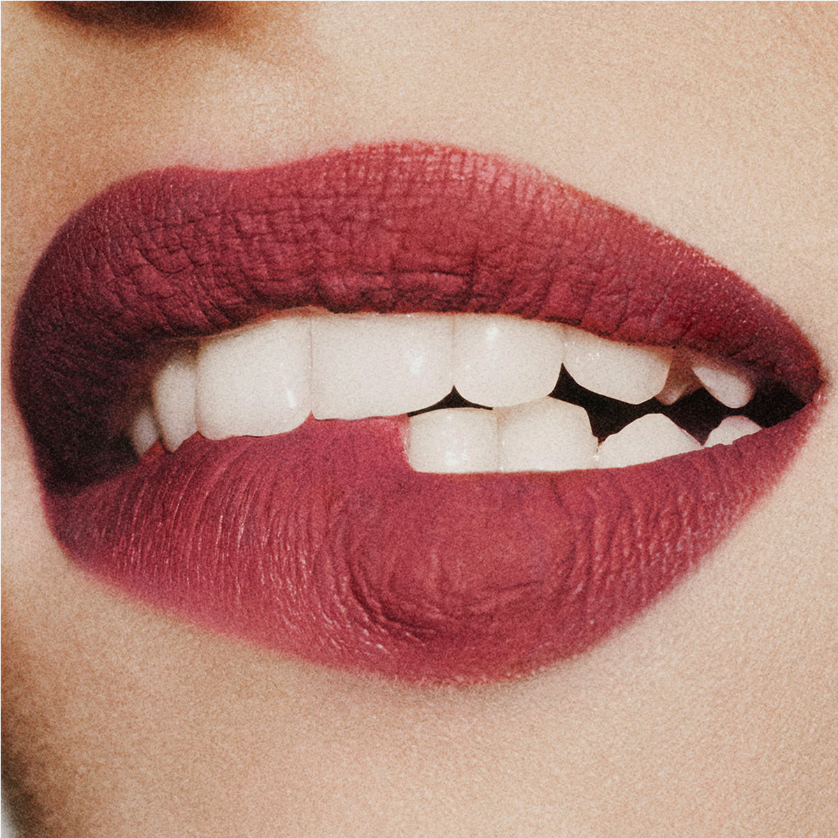 446 - Timeless Burgundy